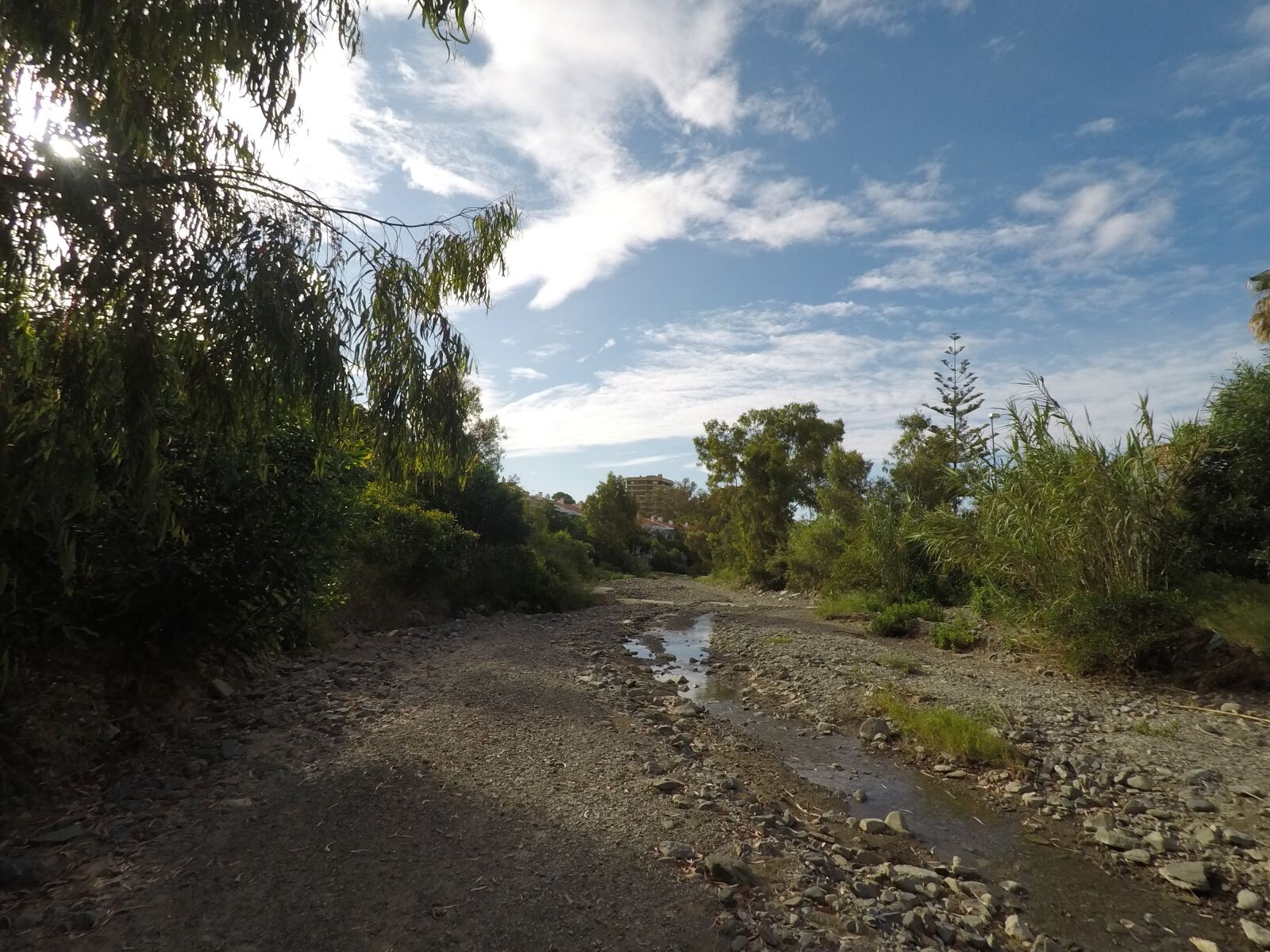 GoPro Hero5 Black sample photo. Arroyo jabonero, the stick photography