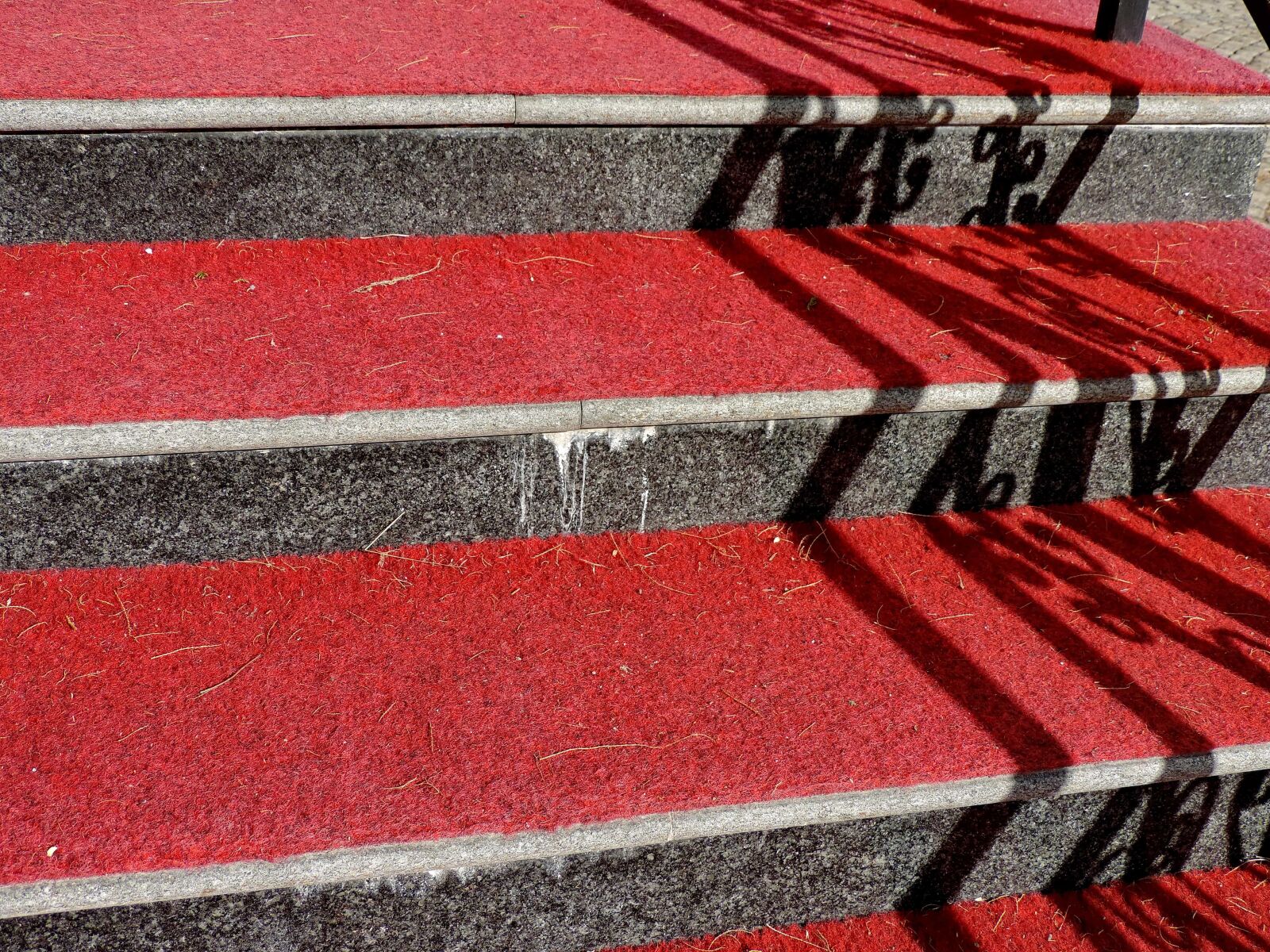 Nikon Coolpix P520 sample photo. Carpet, red, red carpet photography