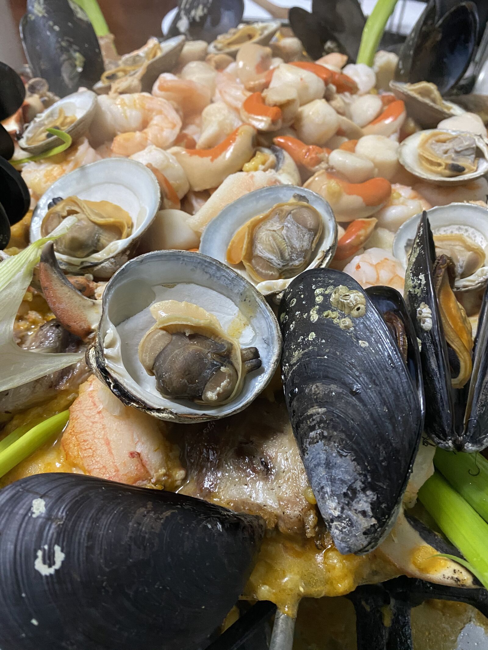 Apple iPhone 11 sample photo. Seafood, mussels, clams photography