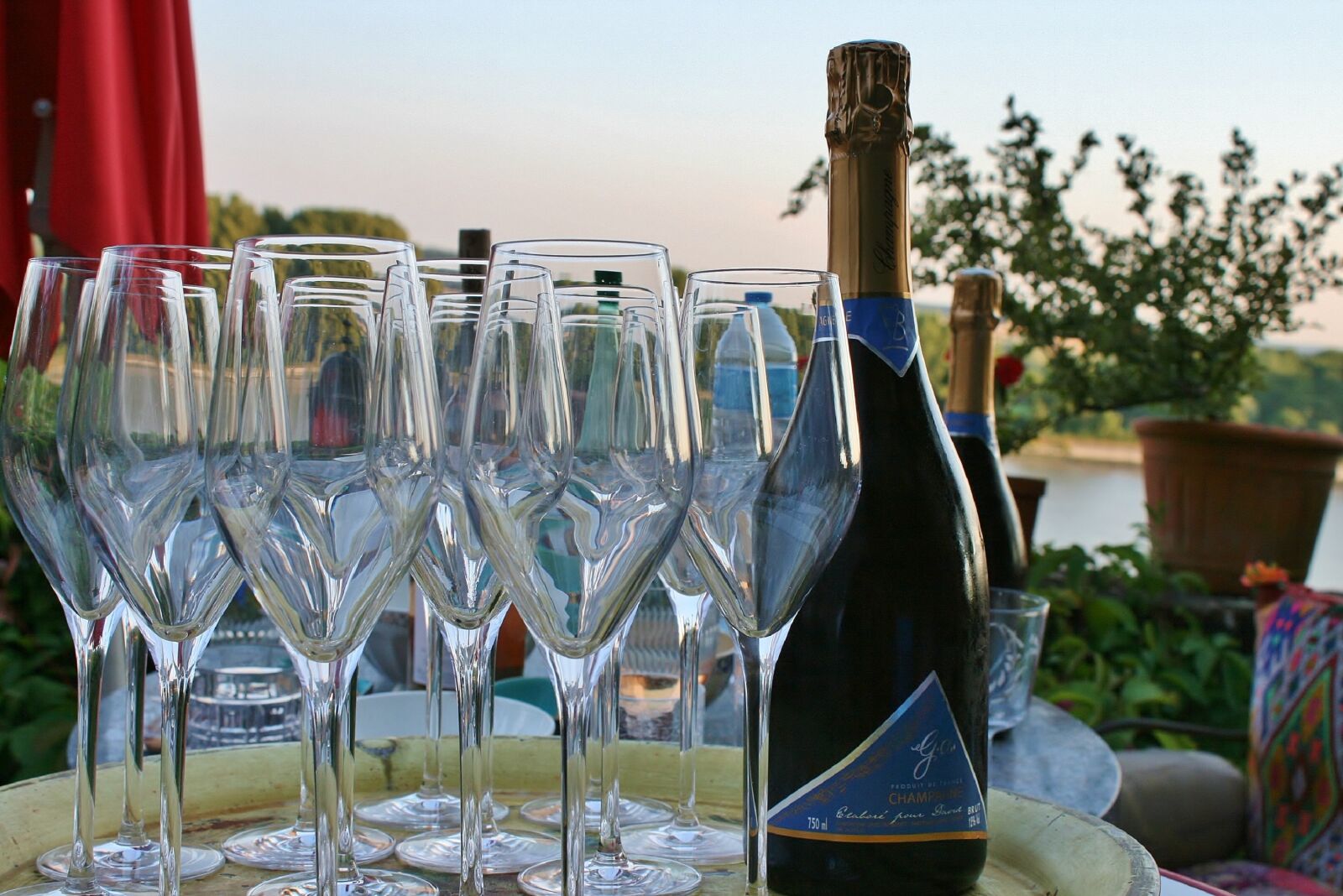 Canon EOS 400D (EOS Digital Rebel XTi / EOS Kiss Digital X) sample photo. Champagne, celebration, noble photography