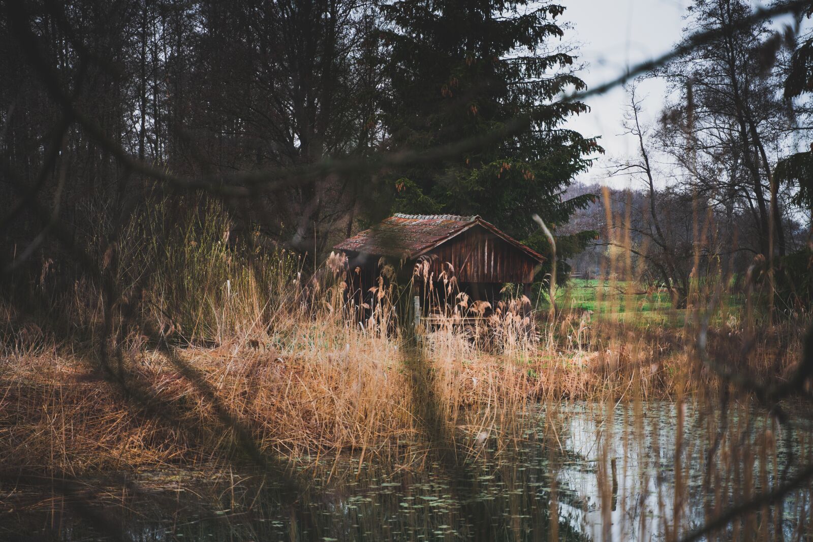 Tamron 28-75mm F2.8 Di III RXD sample photo. Forest, hut, nature photography