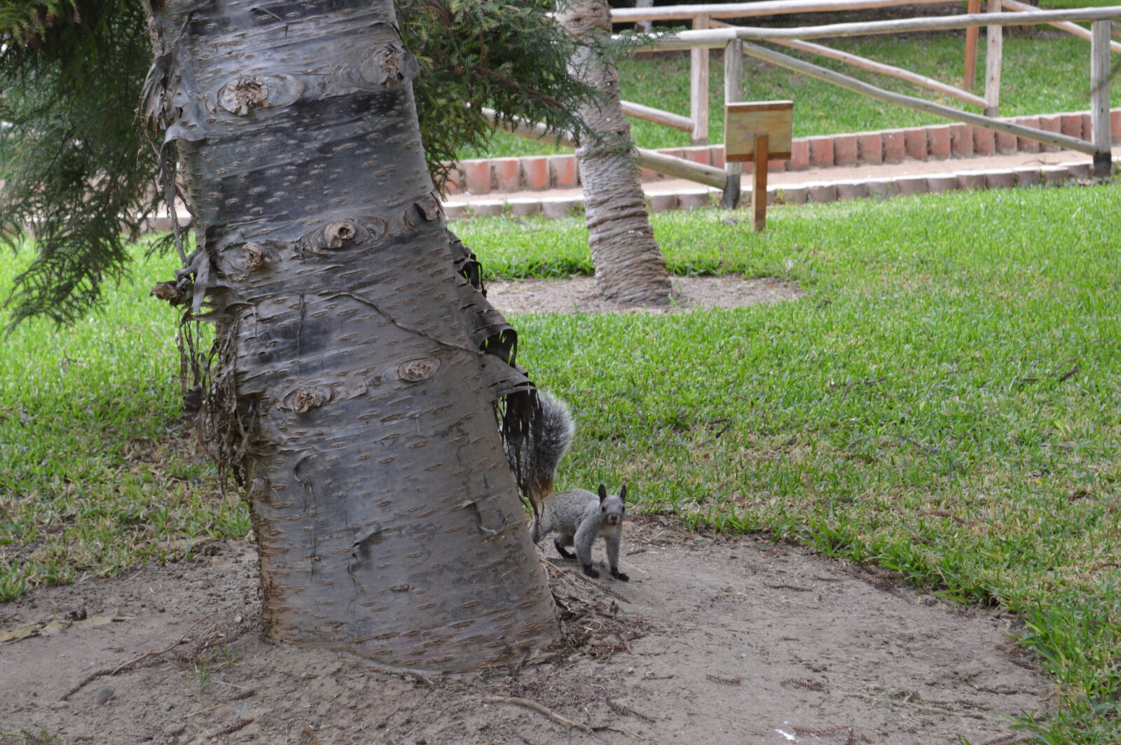 Nikon D3200 sample photo