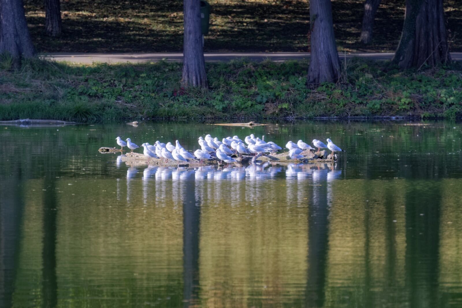 Nikon D5300 sample photo. Landscape, nature, lake photography