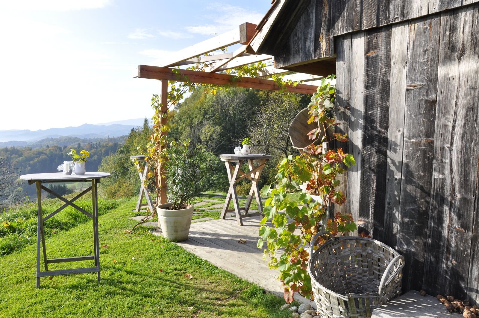 Nikon D90 sample photo. Southern styria, wine, autumn photography