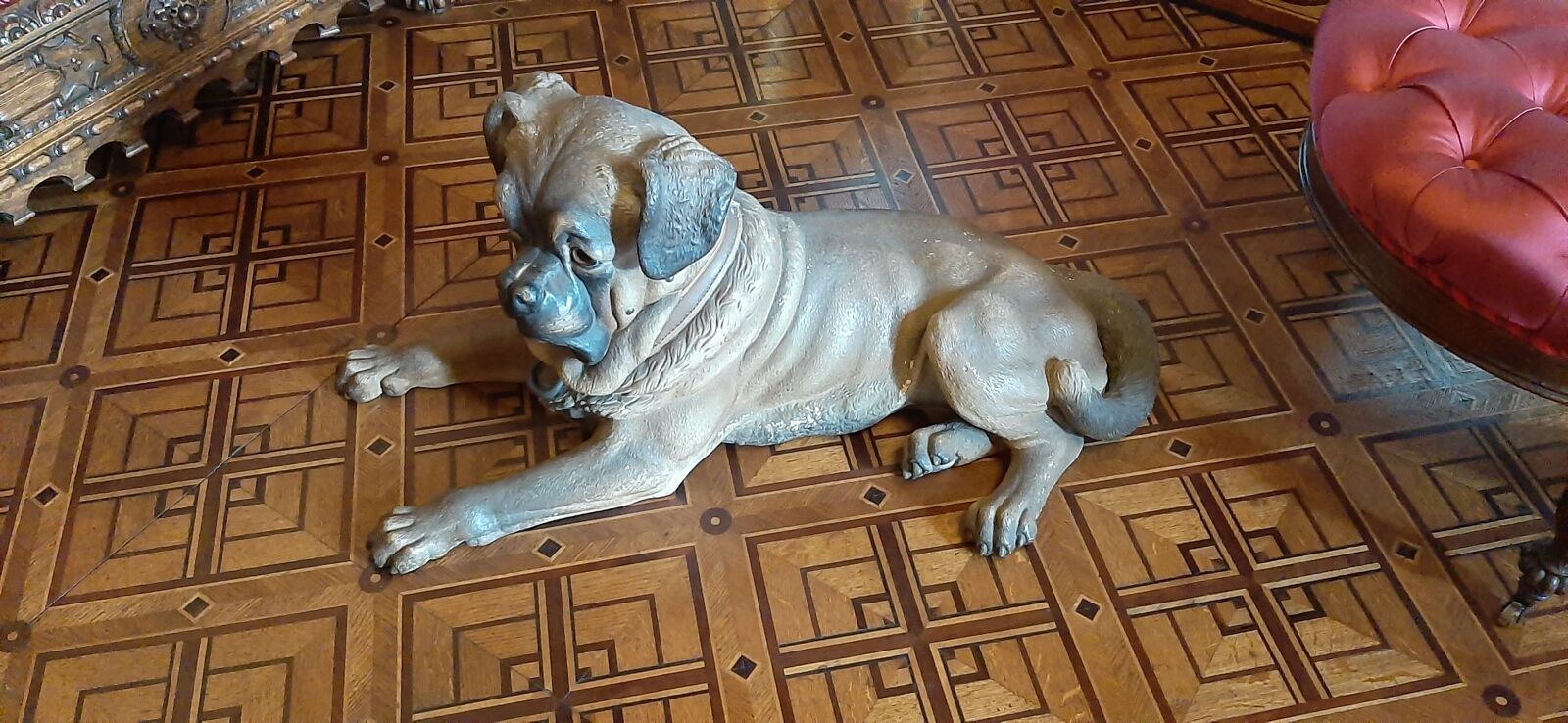 Samsung Galaxy A50 sample photo. Dog, animal, dishwasher-safe photography