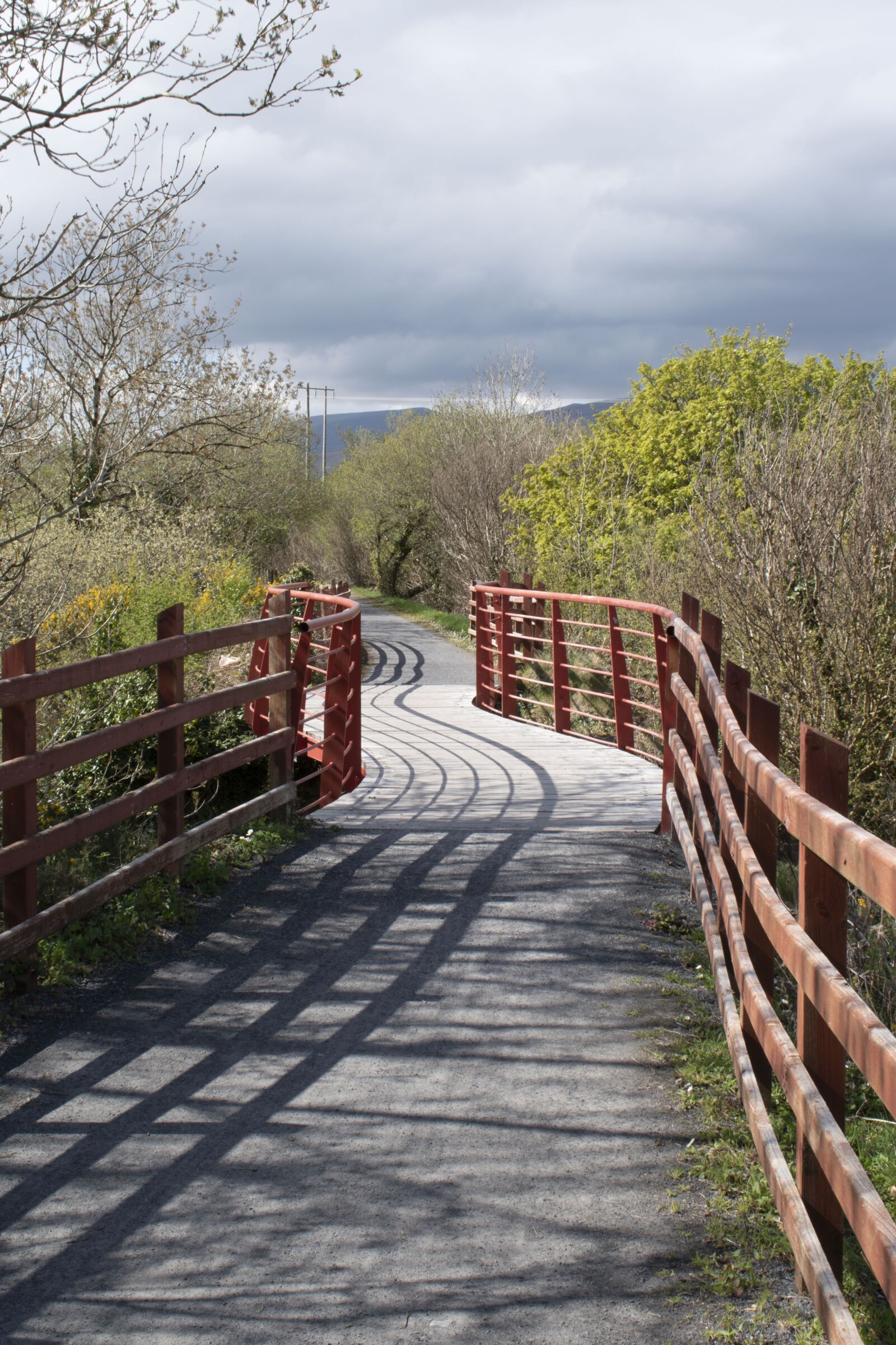 Nikon D5500 sample photo. Red, red bridge, greenway photography