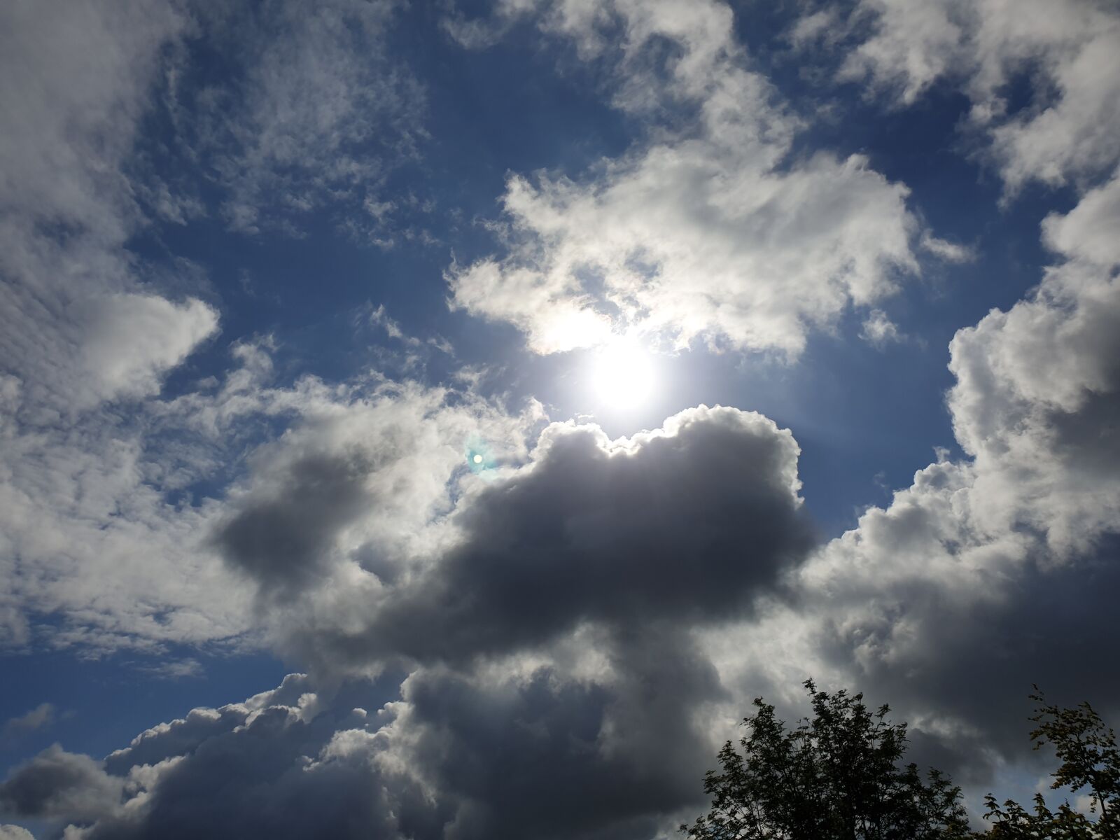 Samsung Galaxy Note9 sample photo. Summer, clouds, sunshine photography