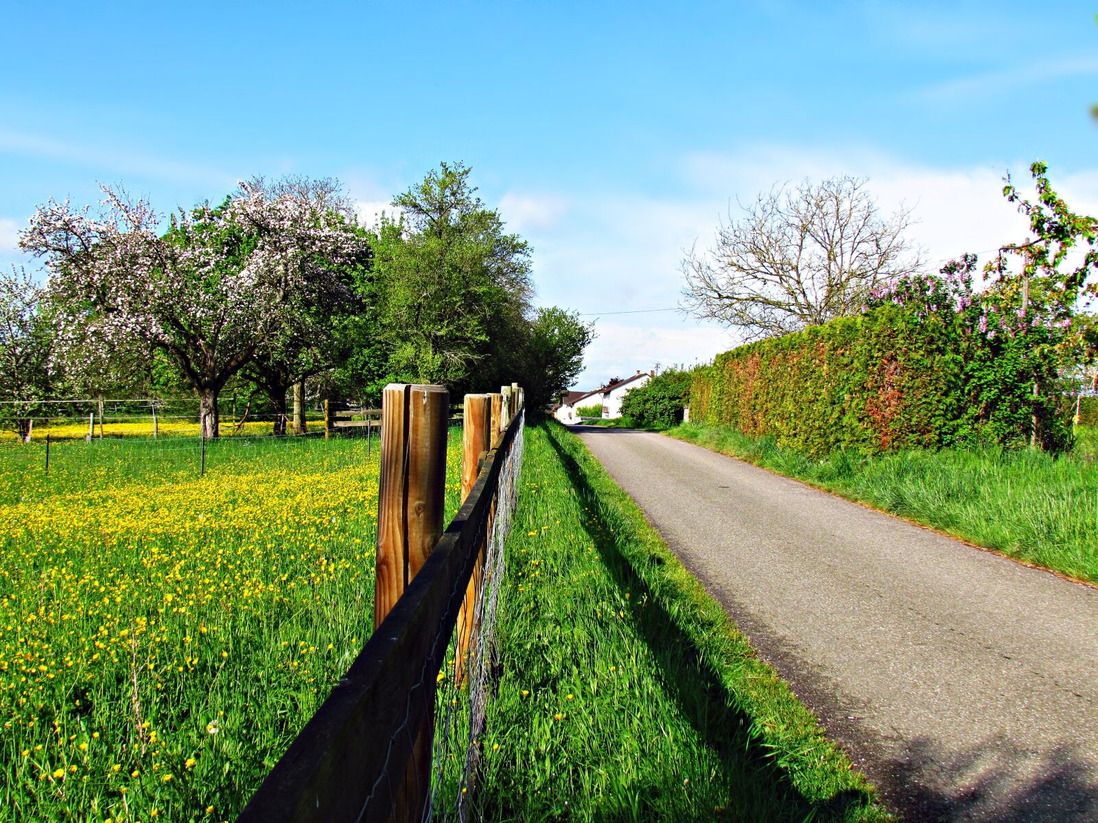 Canon PowerShot SX30 IS sample photo. Way, the fence, spring photography