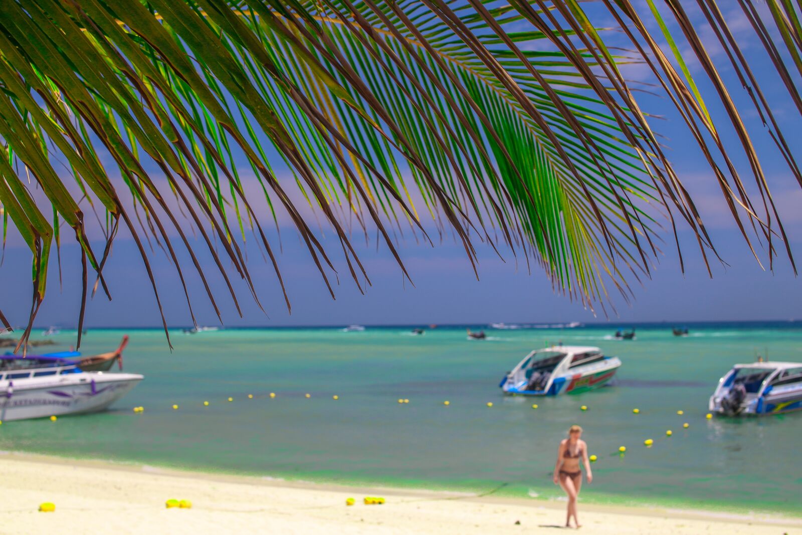 Canon EOS 6D sample photo. Beach, thailand, phiphi photography