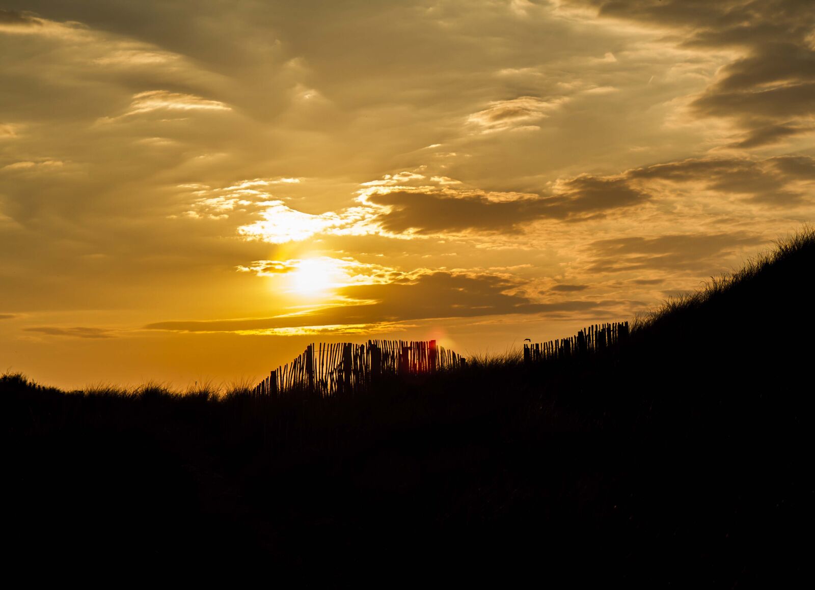 Canon EOS 7D sample photo. Doug three, brown sod photography