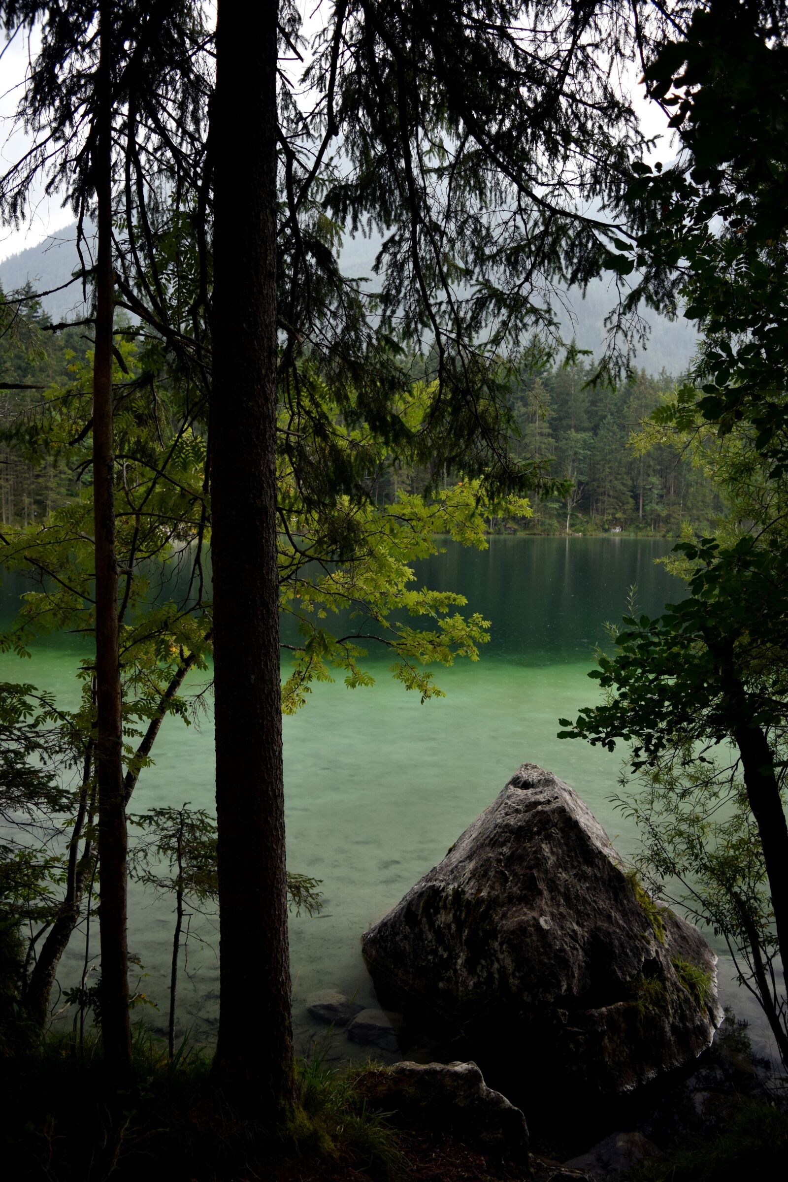 Nikon D5300 sample photo. Lake, trees, mountains photography