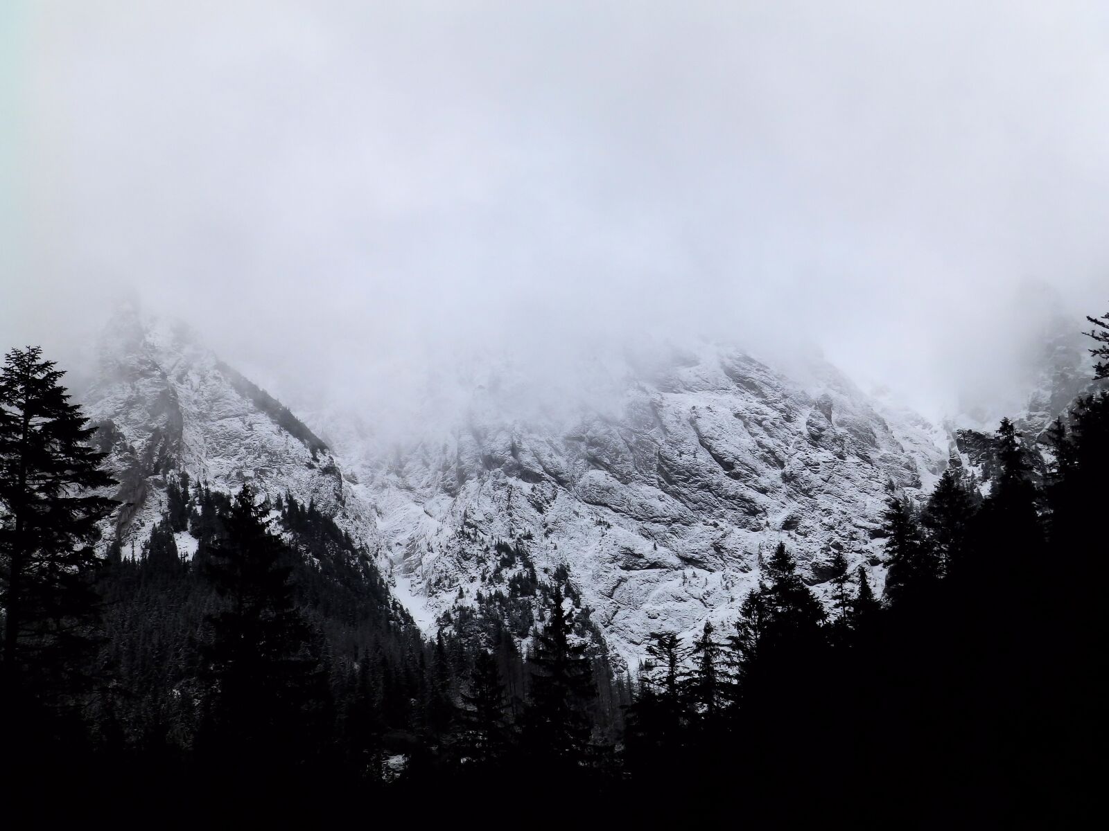 Olympus SP-820UZ sample photo. Mountains, snow, forest photography