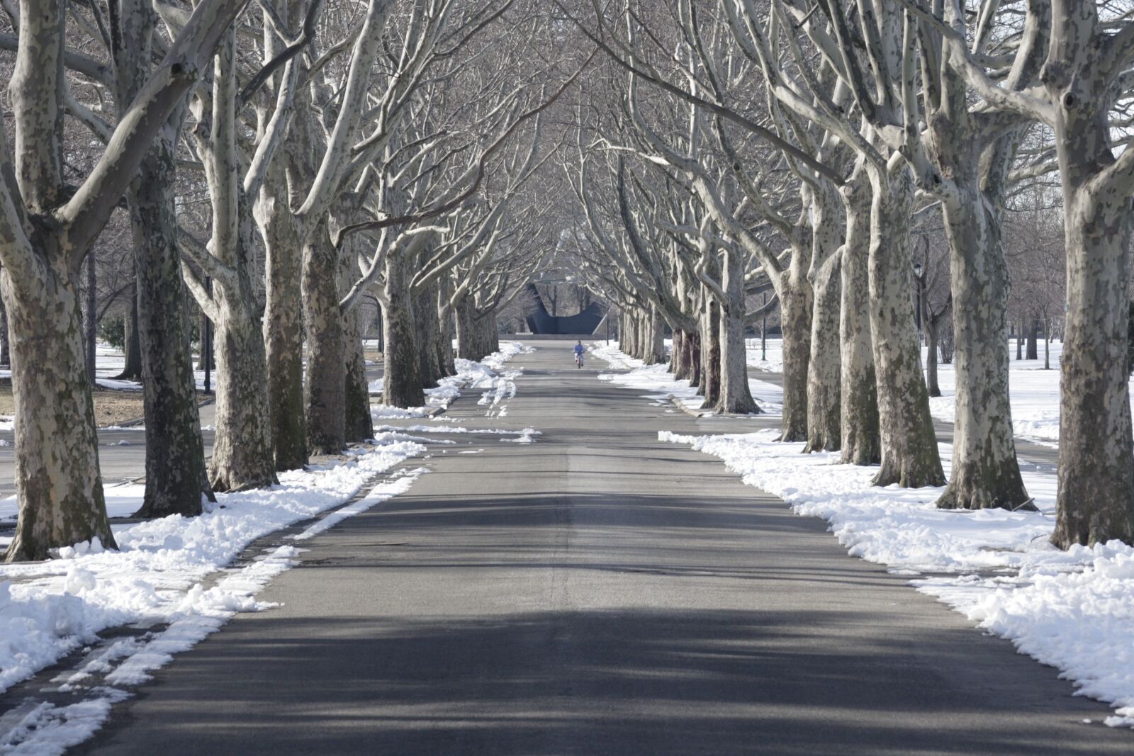 Canon EOS 20D sample photo. Tree lined, flushing meadow photography
