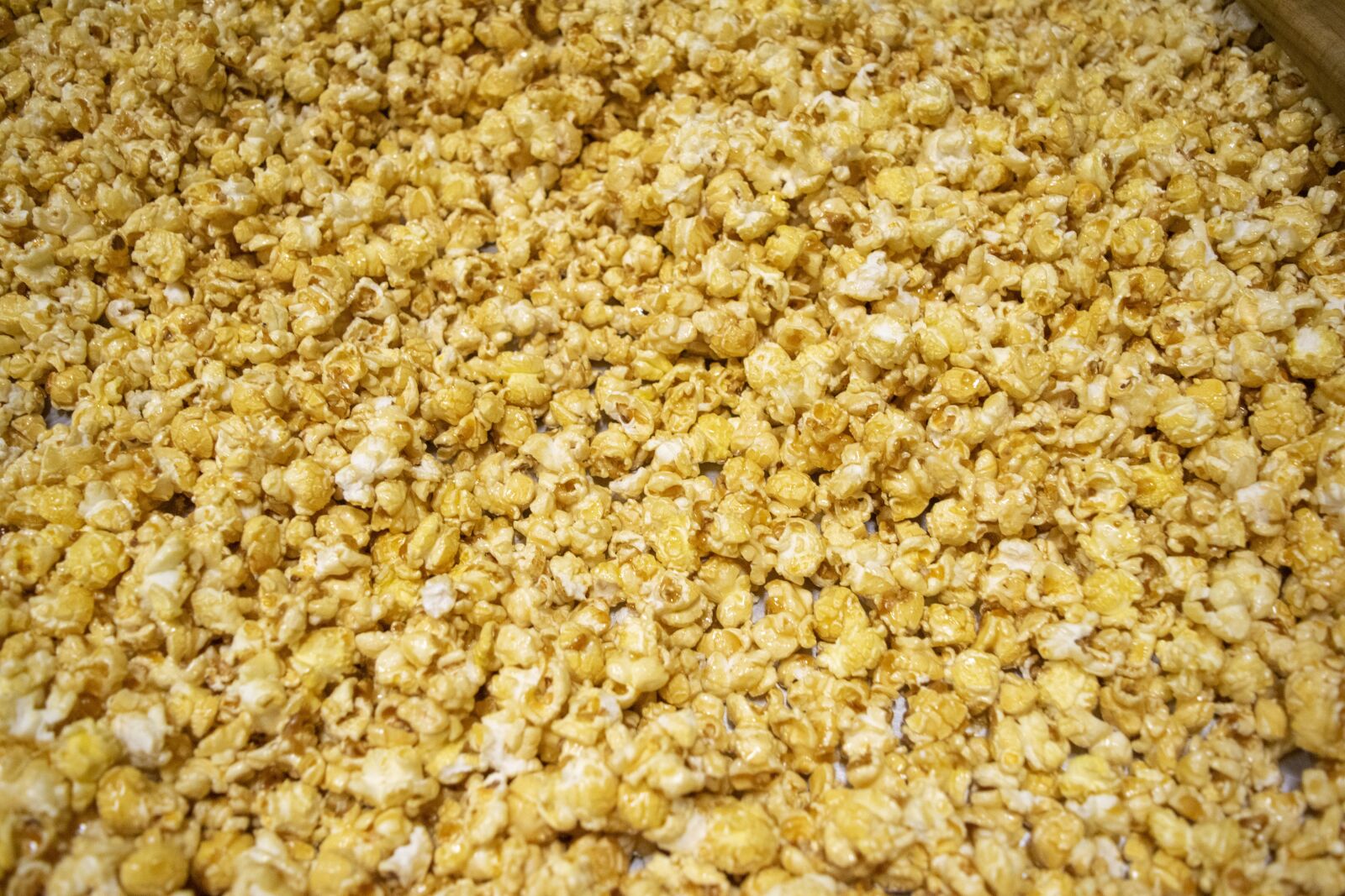Nikon D3300 sample photo. Popcorn, gourmet, food photography