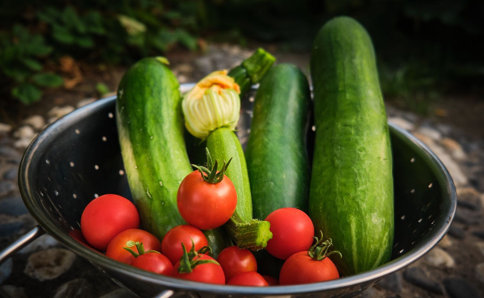 Fujifilm XF 18-55mm F2.8-4 R LM OIS sample photo. Harvest, vegetables, tomato photography