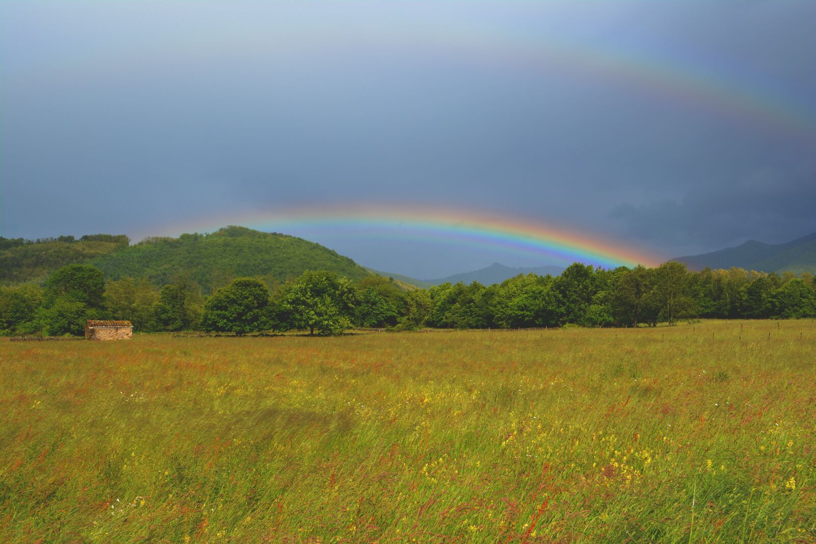 Nikon D5200 sample photo. Rainbow, rain, sun photography