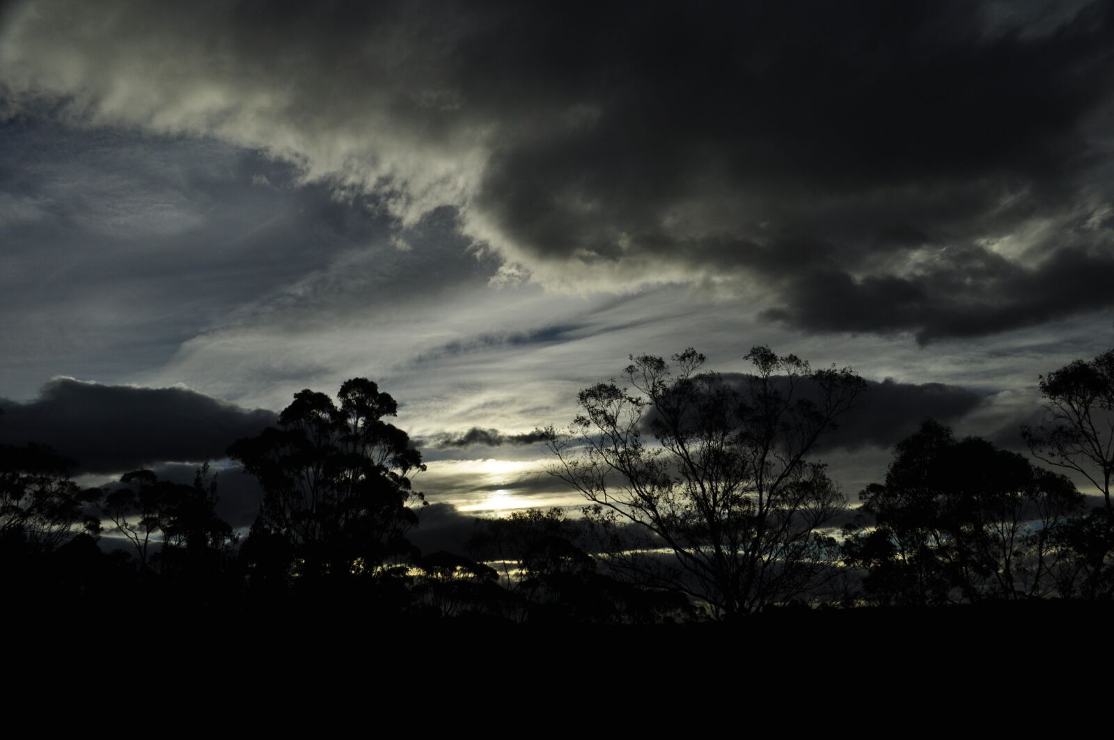 Nikon D5000 sample photo. Sunset, clouds, trees photography