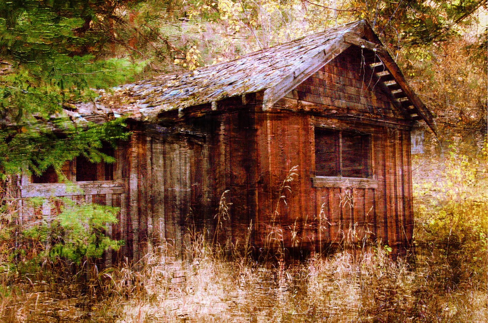 Nikon D7000 sample photo. Autumn, fall, old, shed photography
