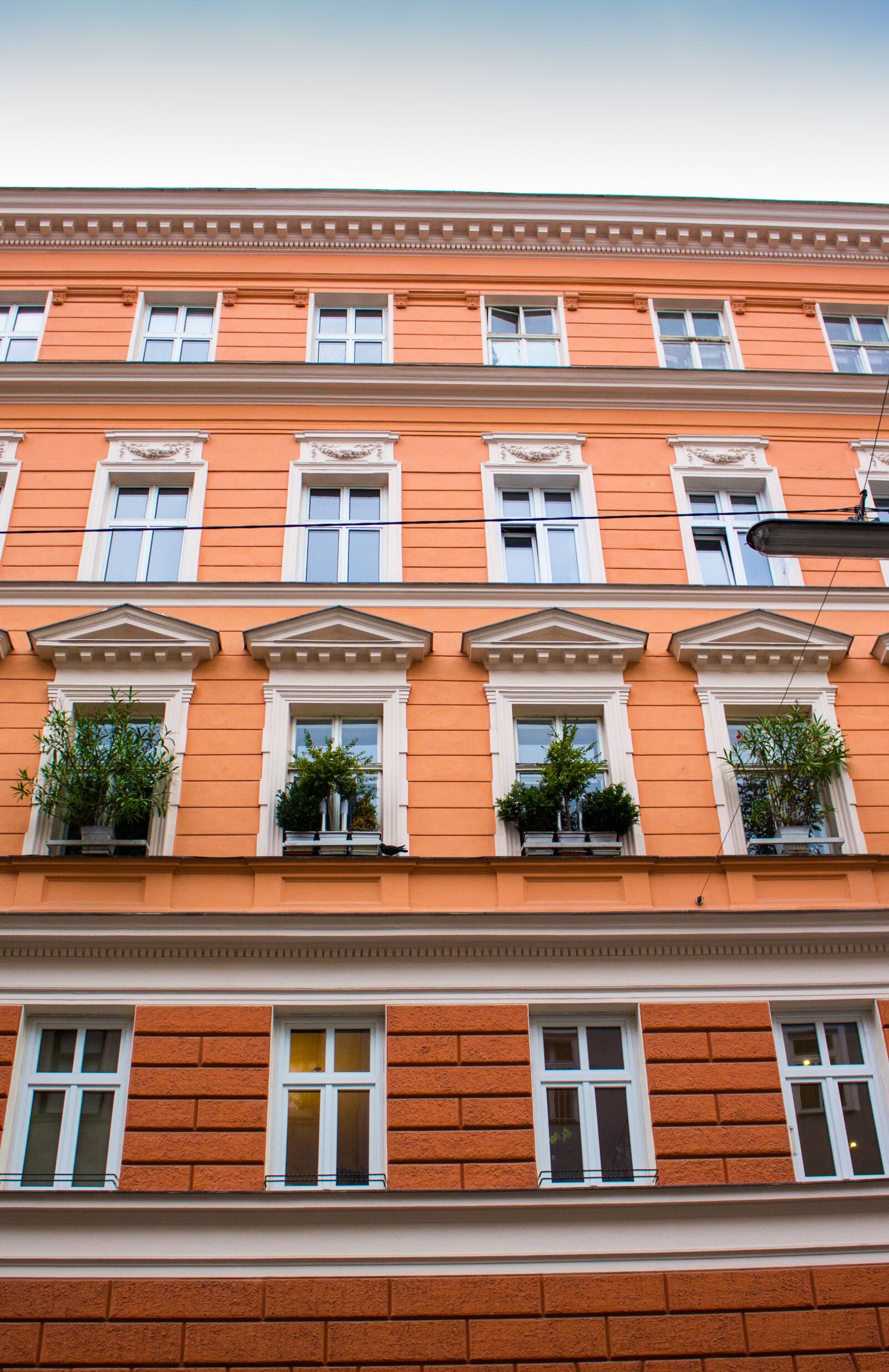 Canon EOS 700D (EOS Rebel T5i / EOS Kiss X7i) sample photo. House, flowers, wien photography