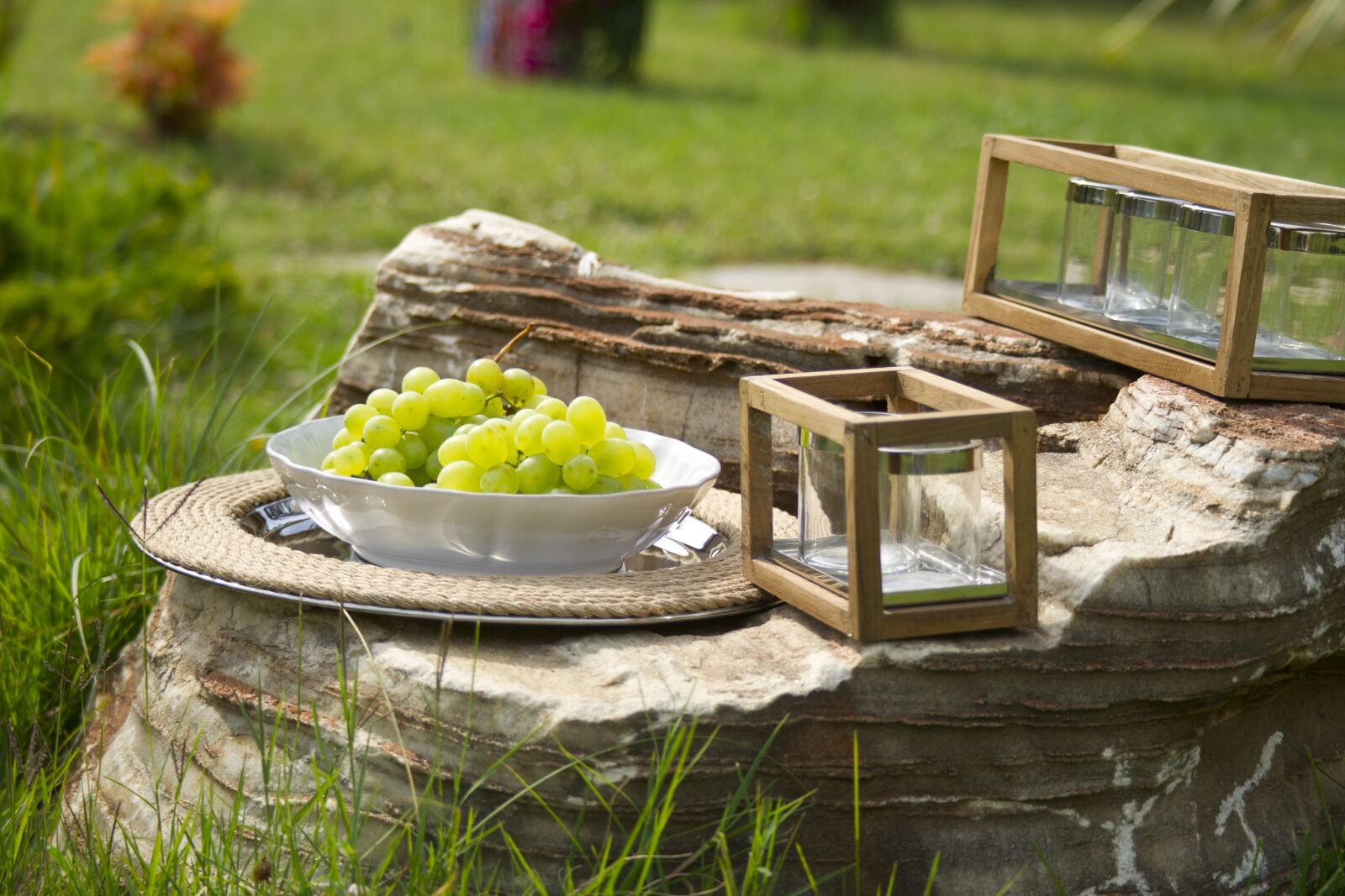 Sony Alpha DSLR-A850 sample photo. Raisin, fruit, garden photography