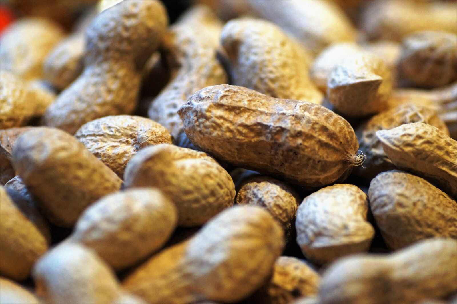 Sony SLT-A58 sample photo. Peanuts, groundnuts, nut photography