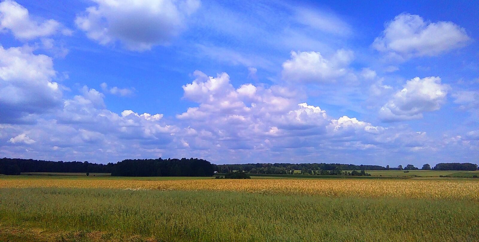 HTC DESIRE 620 sample photo. Clouds, field, horizon, landscape photography