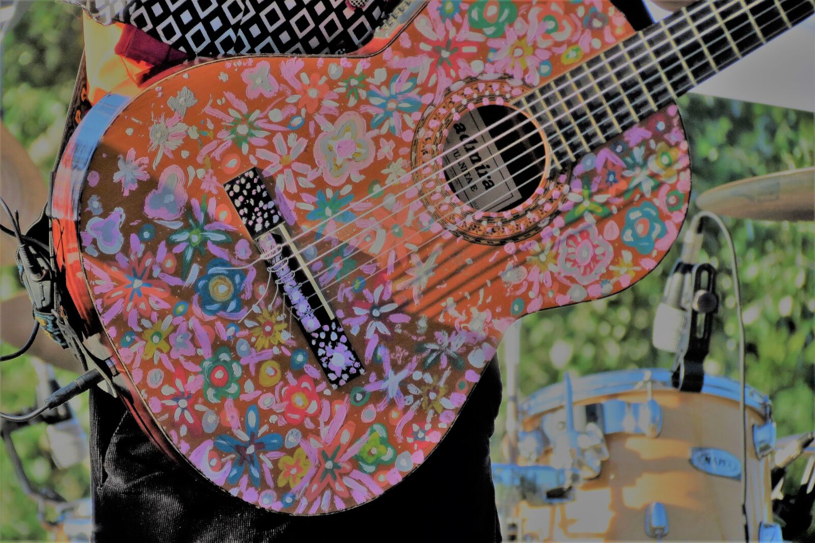 Canon PowerShot SX40 HS sample photo. Guitar, music, instrument photography