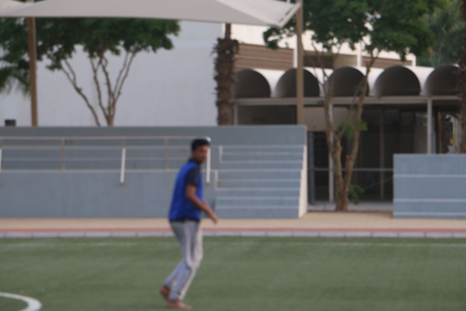 Canon EOS 70D sample photo
