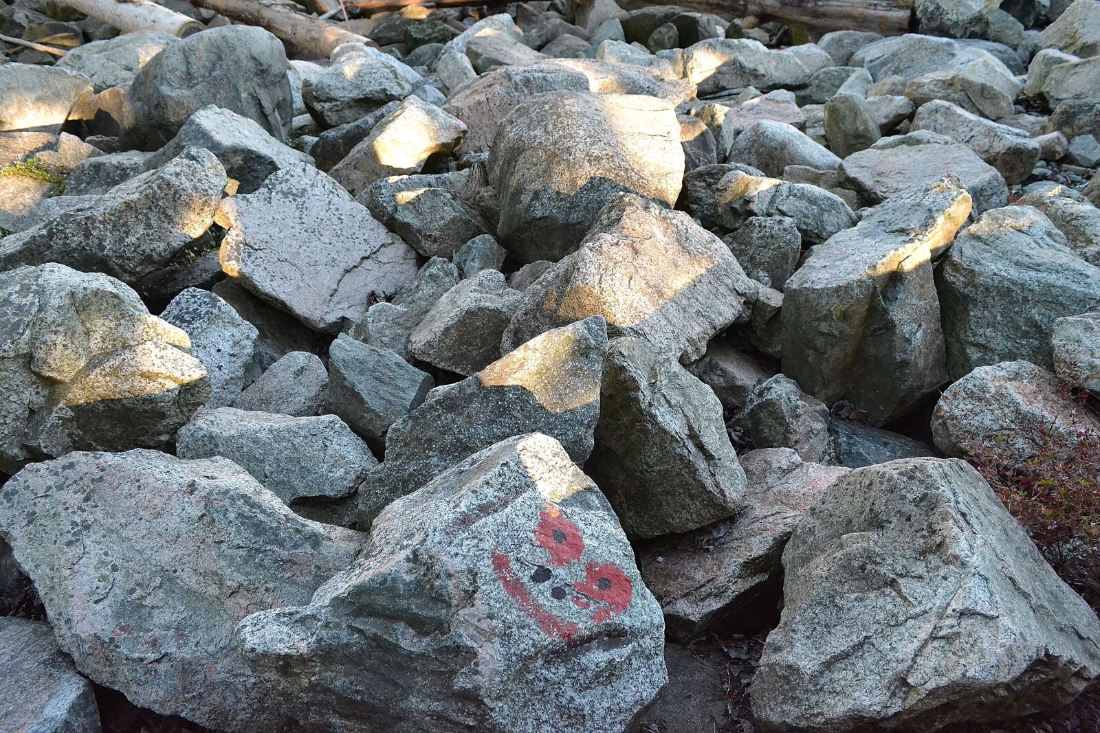 Nikon D3100 sample photo. Rocks, happy rocks, gray photography