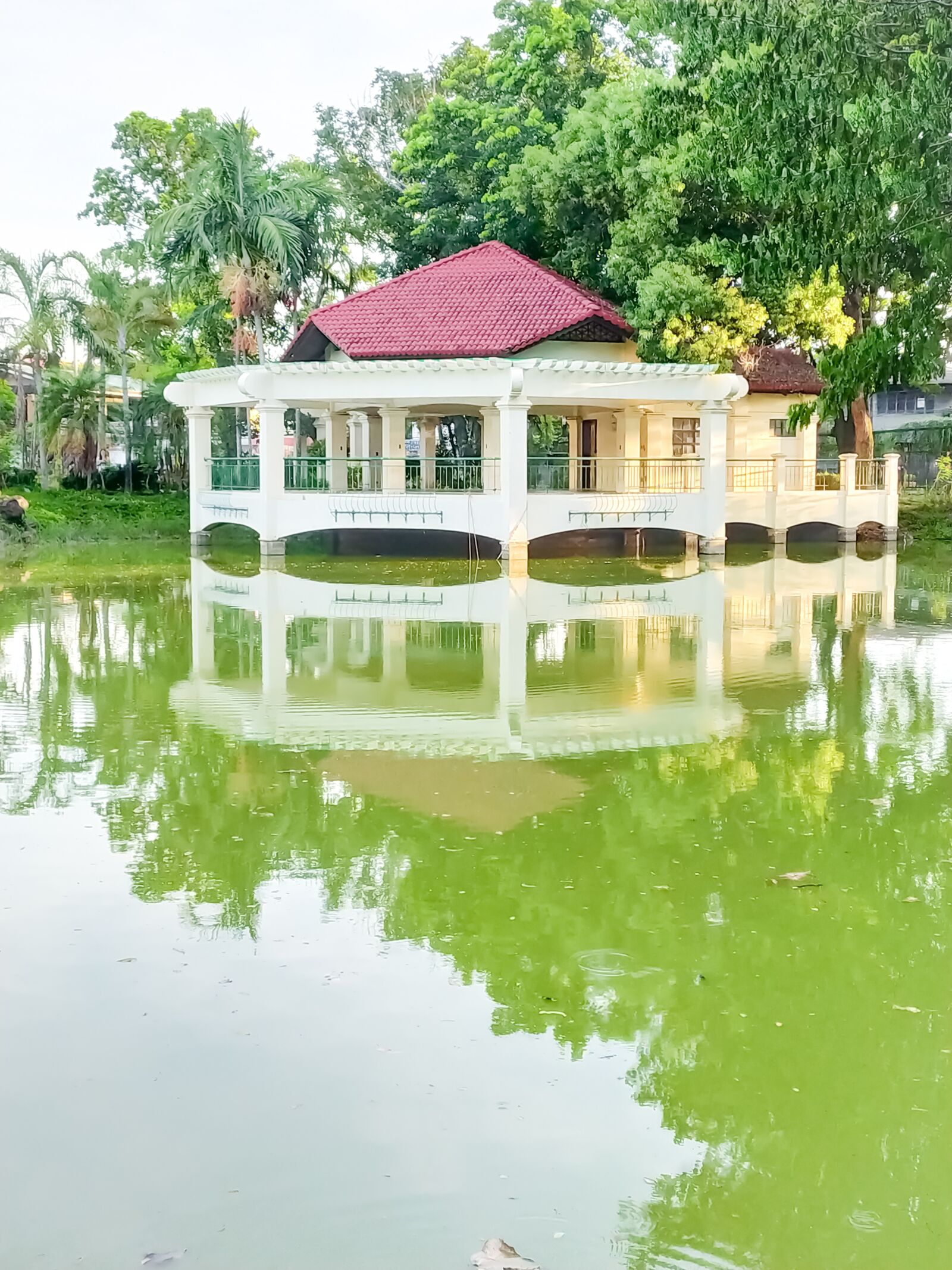 Xiaomi Redmi Note 8 sample photo. Lagoon, park, plaza pond photography