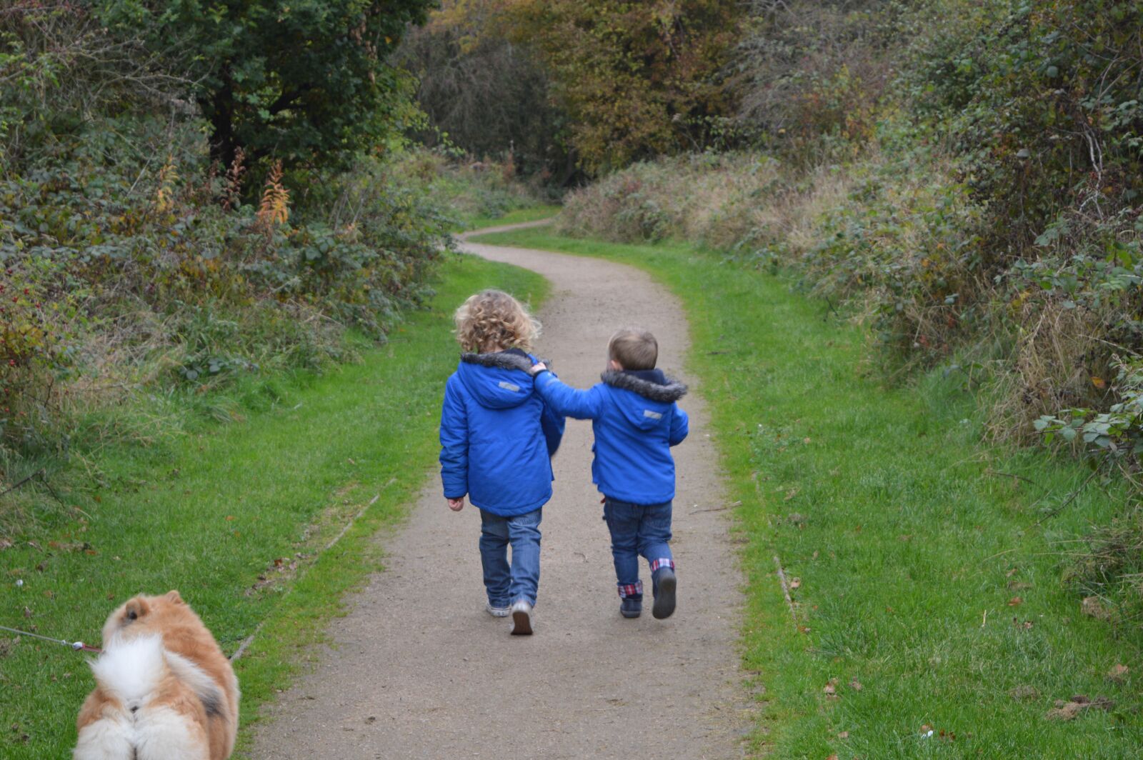 Nikon D3200 sample photo. Brothers, boys walking, toddlers photography