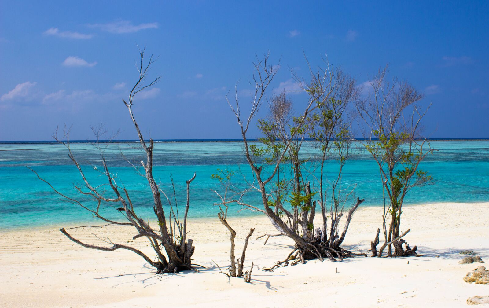 Canon EOS 600D (Rebel EOS T3i / EOS Kiss X5) sample photo. Global warming, beach, sea photography