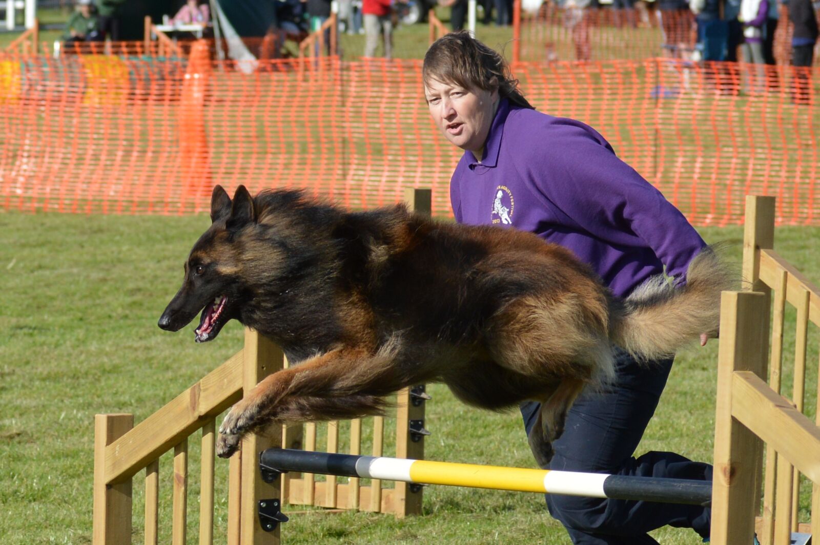 Nikon D3200 sample photo. Belgian shepherd dog, handler photography