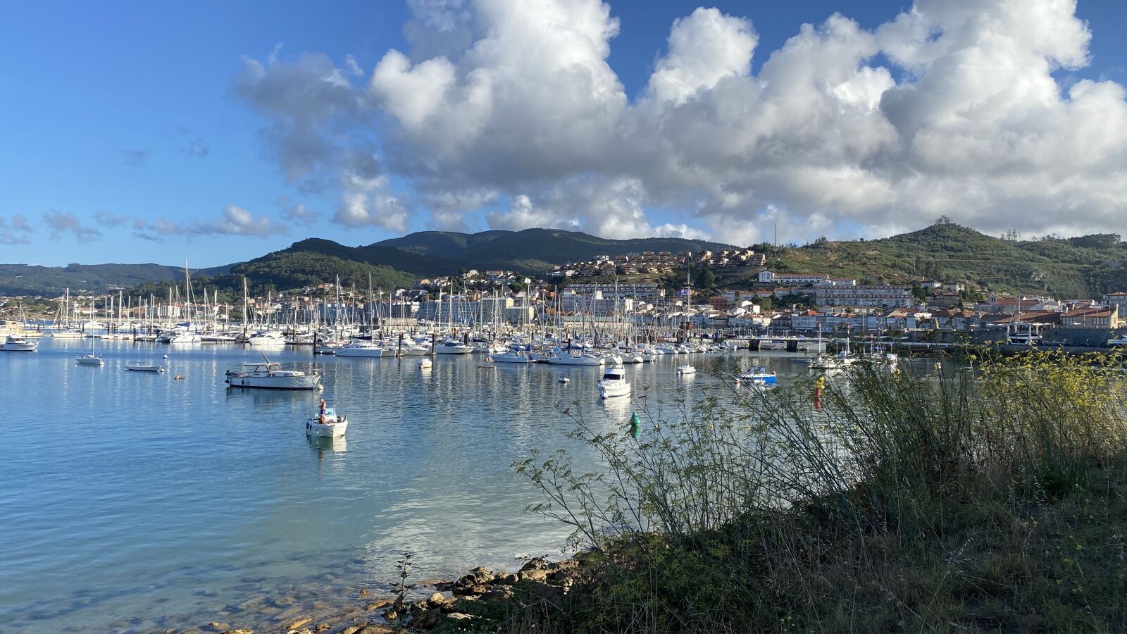 Apple iPhone 11 Pro Max sample photo. Port, boats, bay photography