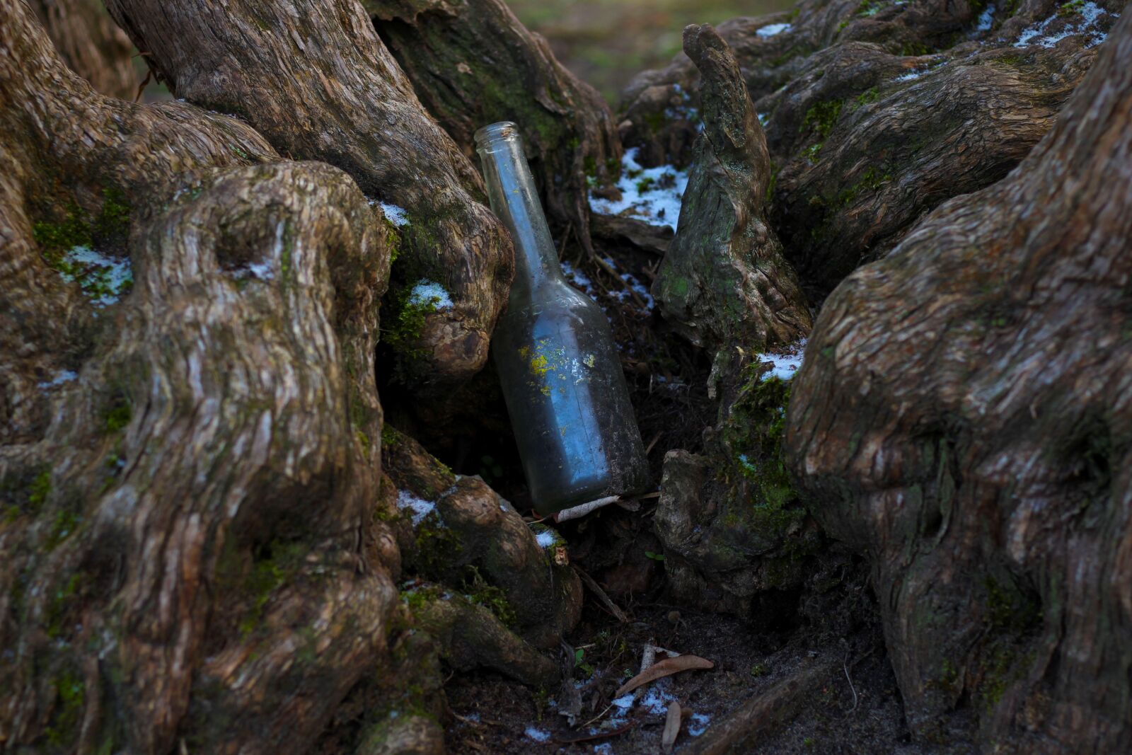 Canon EOS 700D (EOS Rebel T5i / EOS Kiss X7i) + Canon EF 50mm F1.8 STM sample photo. Bottle, glass bottle, old photography