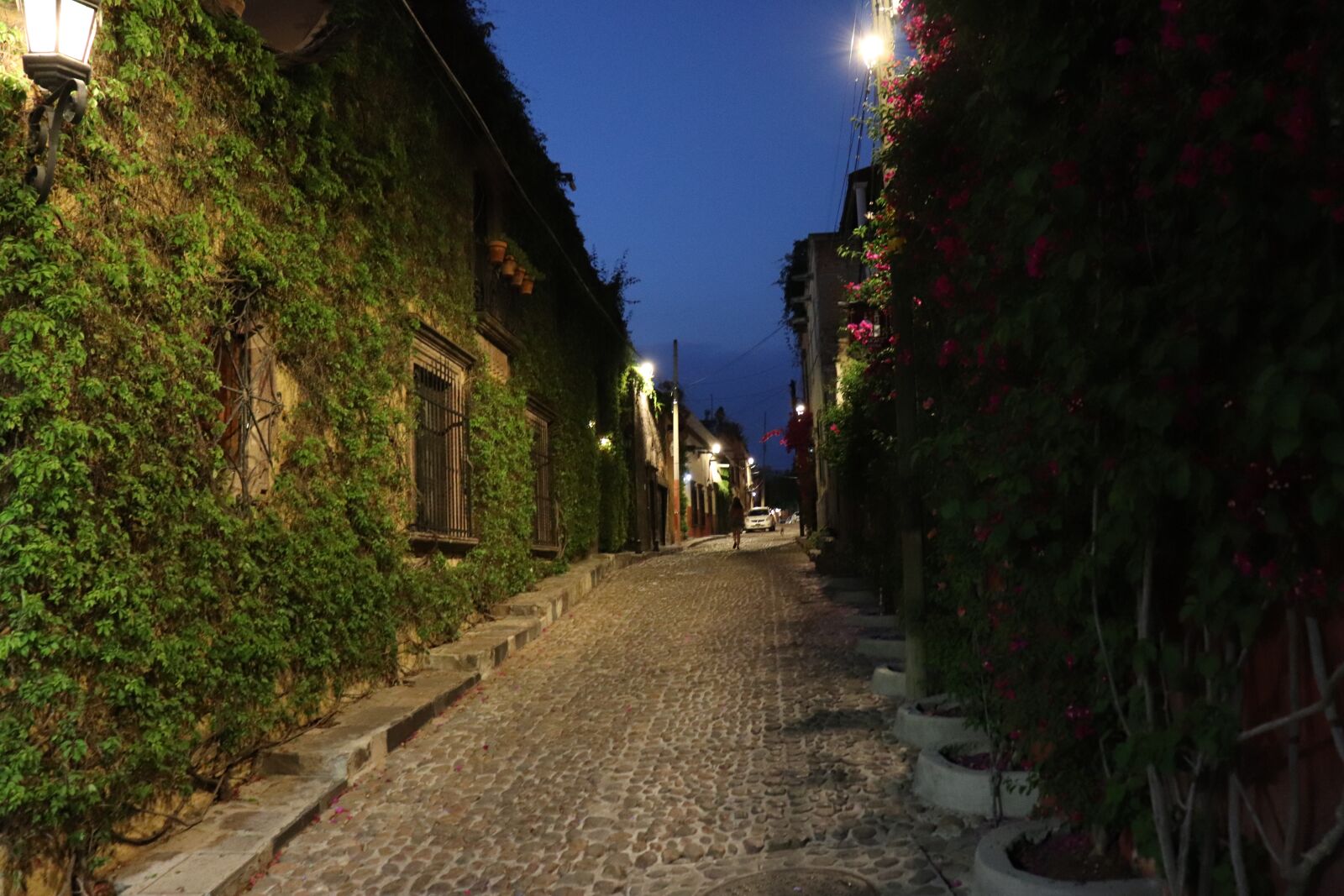 Canon EOS 200D (EOS Rebel SL2 / EOS Kiss X9) sample photo. Street, night, village photography