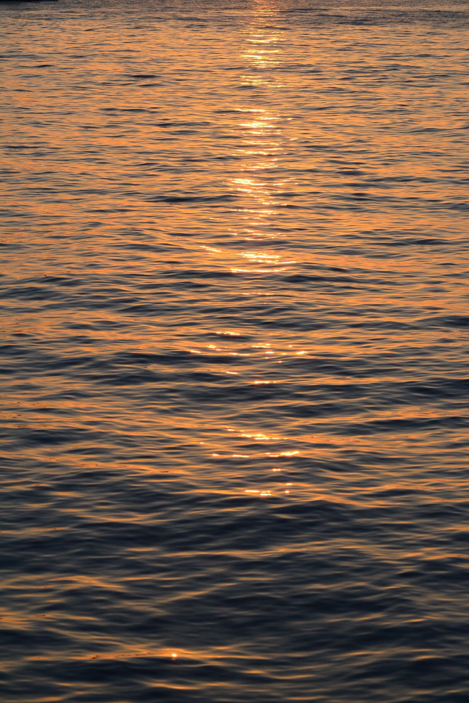 Nikon D3100 sample photo. Sea, water, by the photography