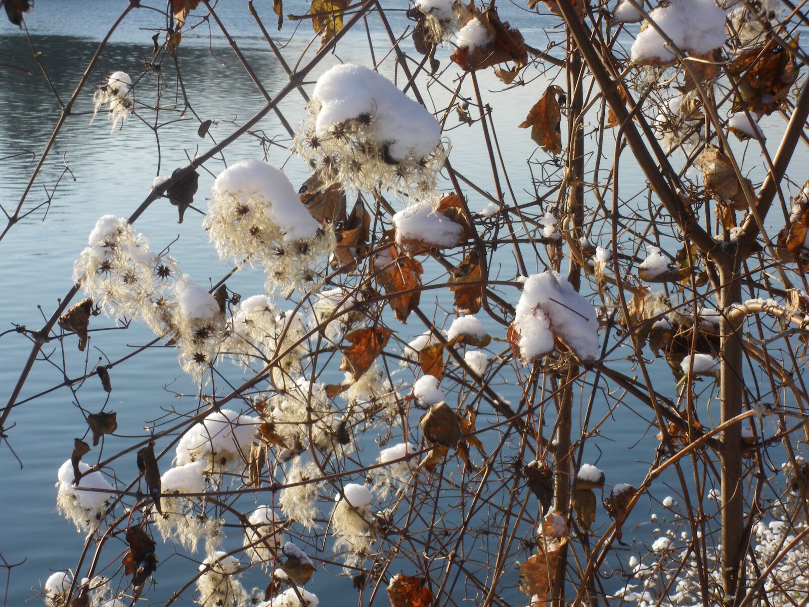 Pentax Optio M60 sample photo. Snow, lightness, ball photography