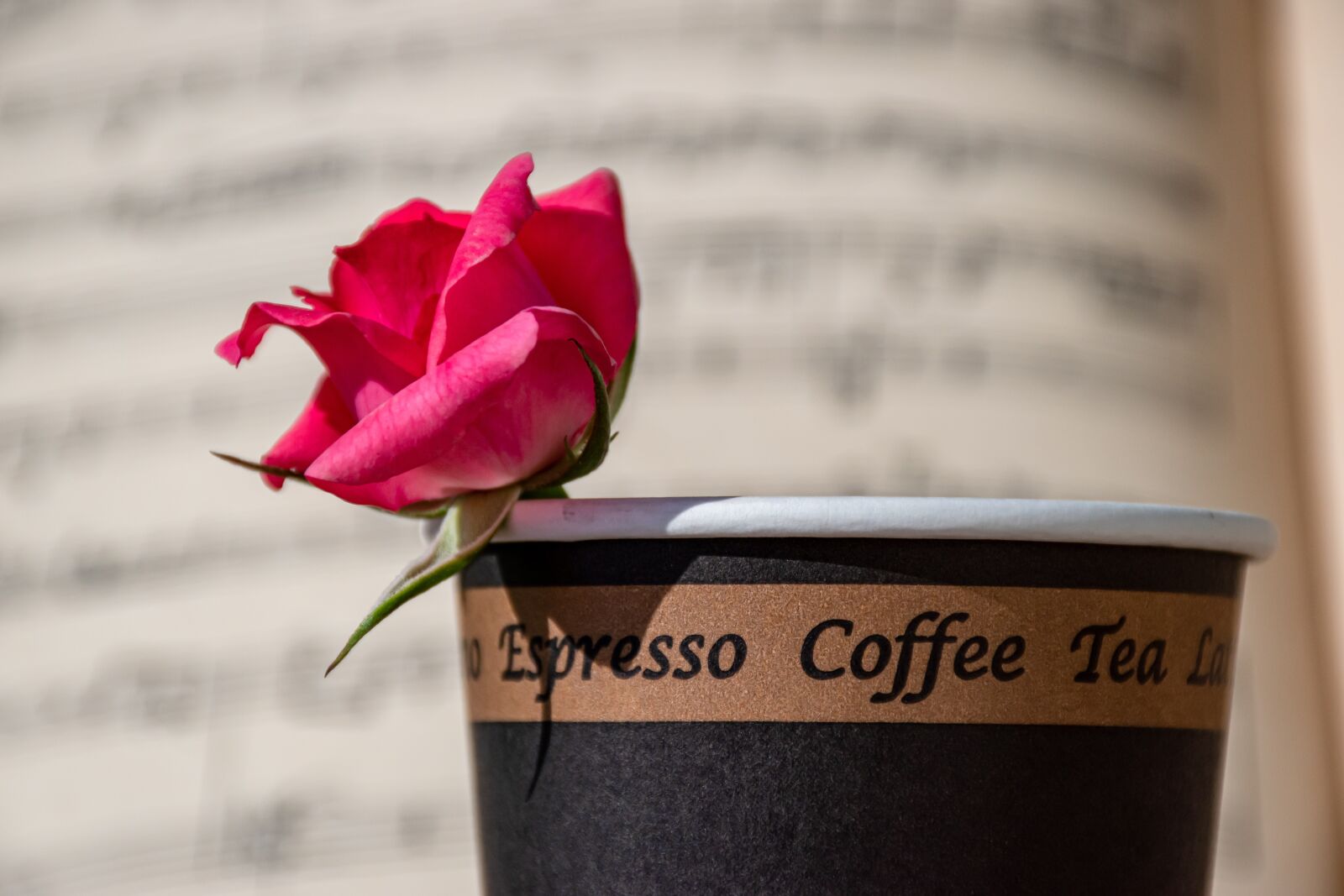 Nikon D5600 sample photo. Espresso, coffee, drink photography