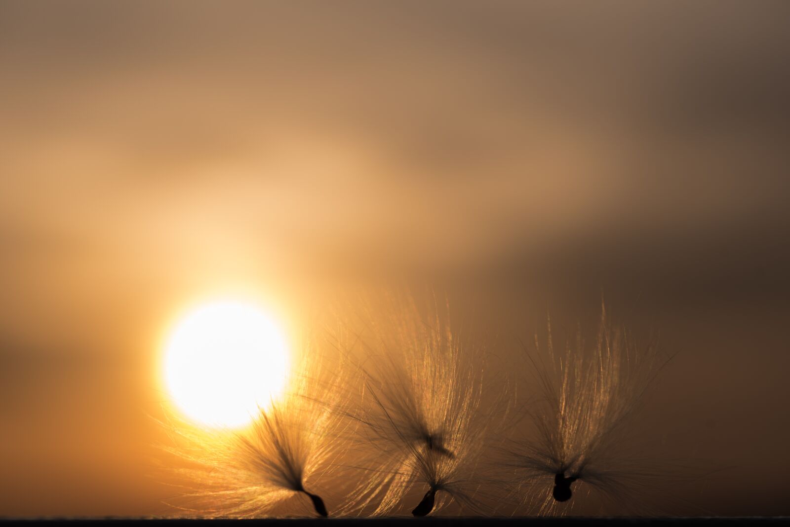 Nikon D750 sample photo. Sunset, sea, dawn photography