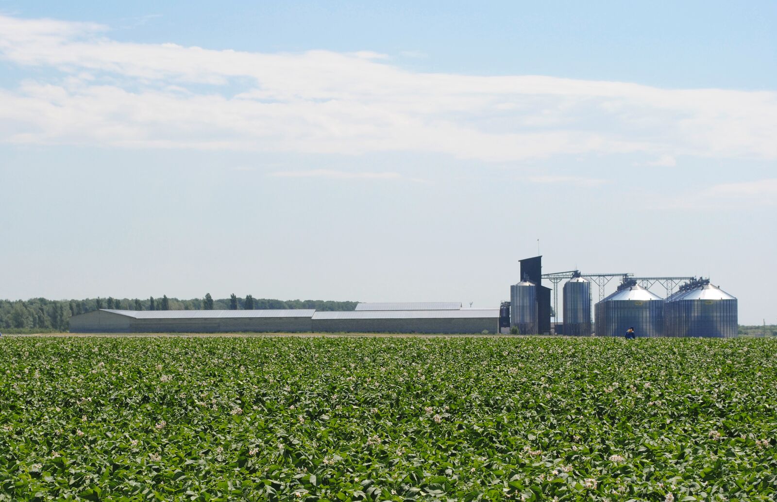 Nikon D3000 sample photo. Field, potatoes, the elevator photography