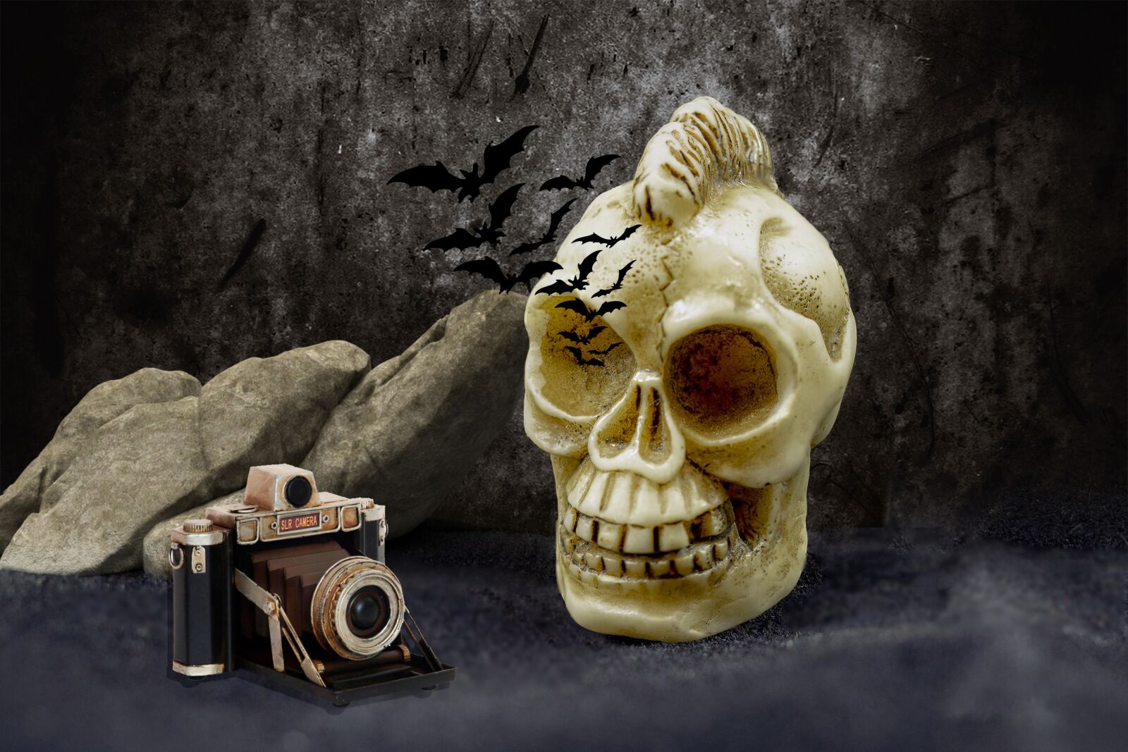 Olympus M.Zuiko Digital ED 60mm F2.8 Macro sample photo. Skull, bats, camera photography