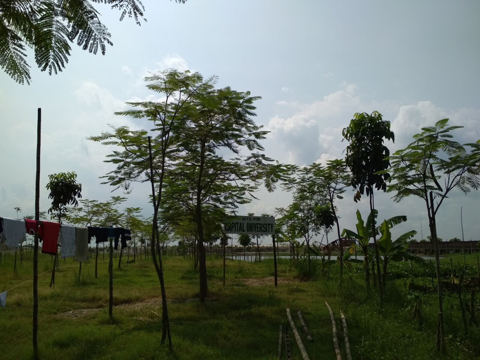 Xiaomi Redmi 4X sample photo