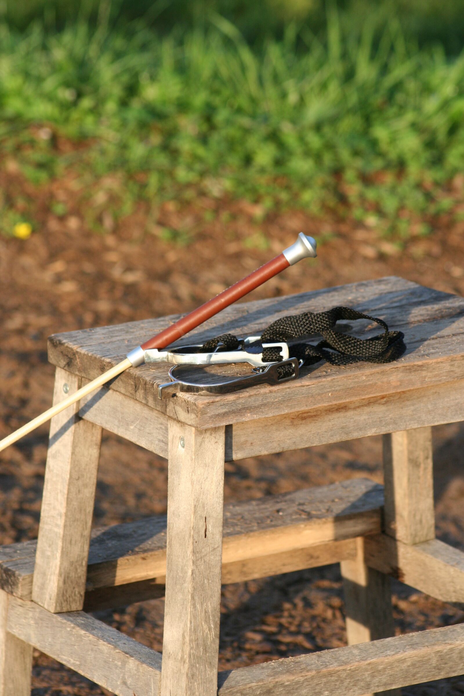 Canon EOS 350D (EOS Digital Rebel XT / EOS Kiss Digital N) sample photo. Spores, crop, ride photography