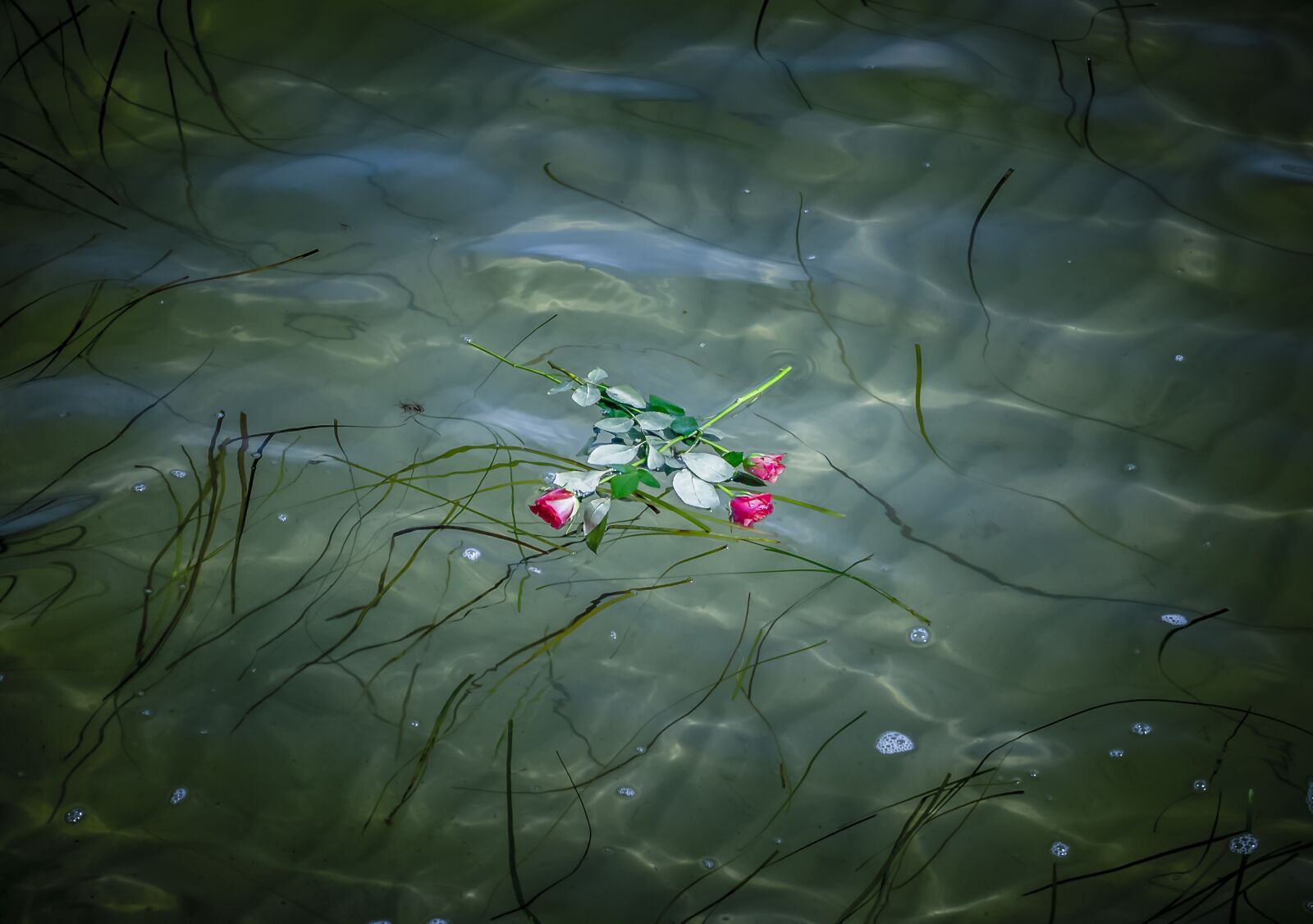 Sony a7 II + Sony FE 28-70mm F3.5-5.6 OSS sample photo. Water, sea, baltic sea photography