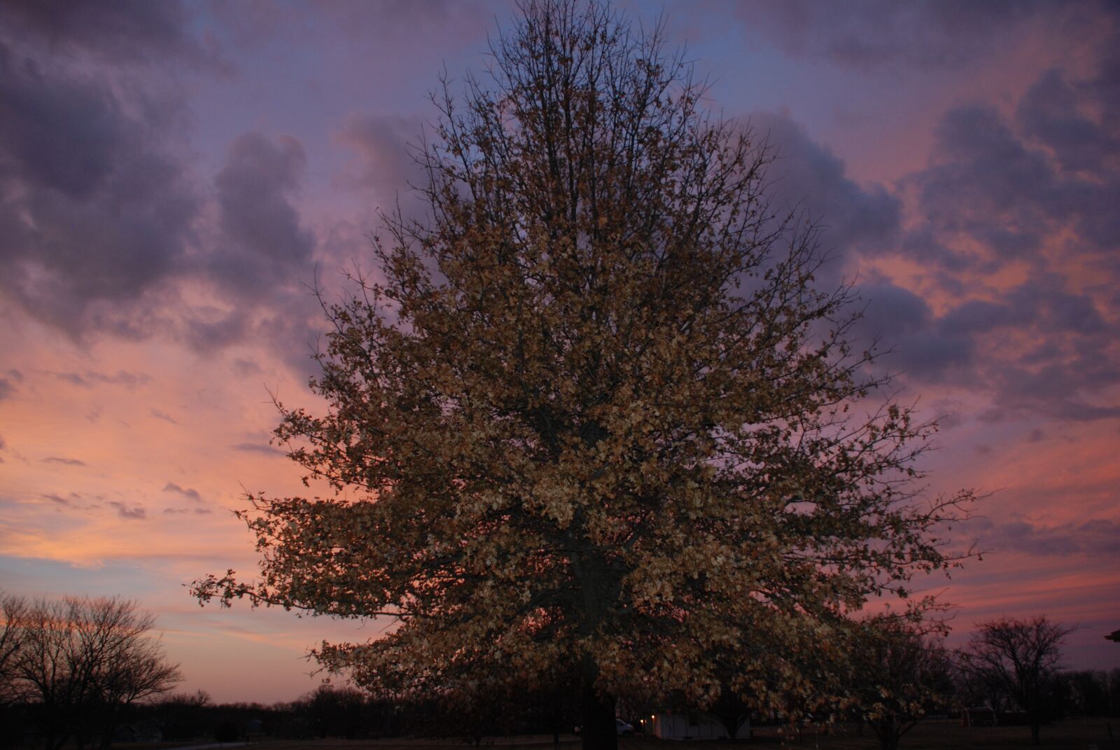 Nikon D80 sample photo. Storm, sunset, sky photography