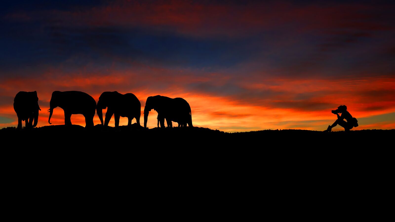 Panasonic Lumix DMC-FZ200 sample photo. Sunset, elephants, photographer photography