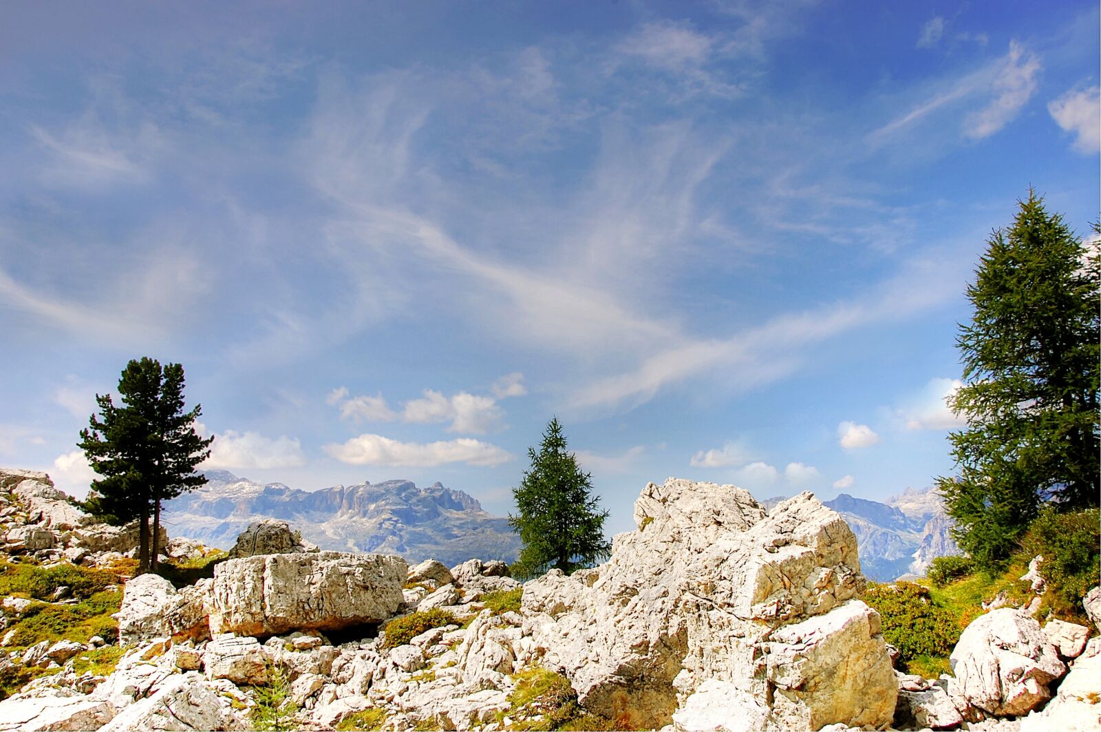 Nikon D40 sample photo. Pralongia, dolomites, alm photography