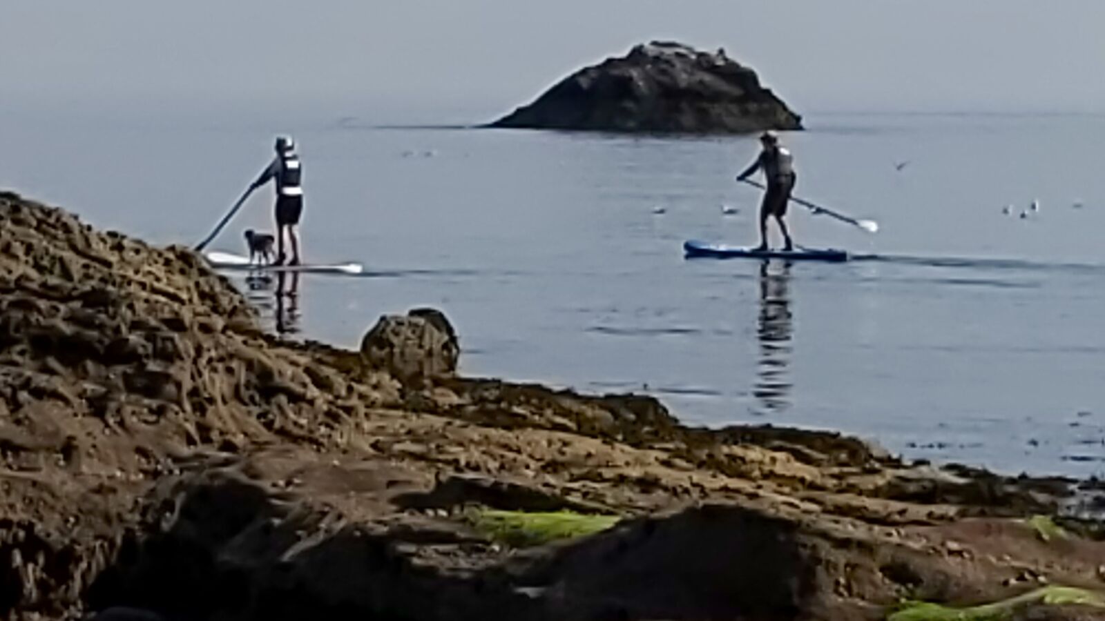 Samsung Galaxy A70 sample photo. Dunbar, east coast, sea photography