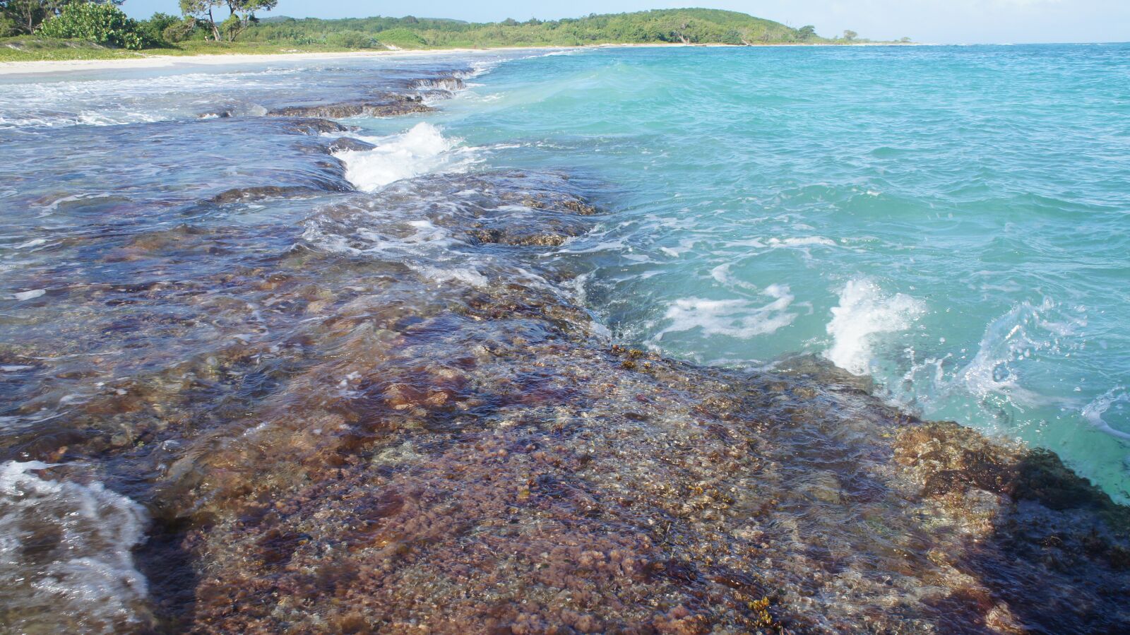 Sony Alpha NEX-C3 sample photo. Beach, jamaica, caribbean photography